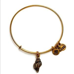 Alex and Ani Conch Shell Bracelet